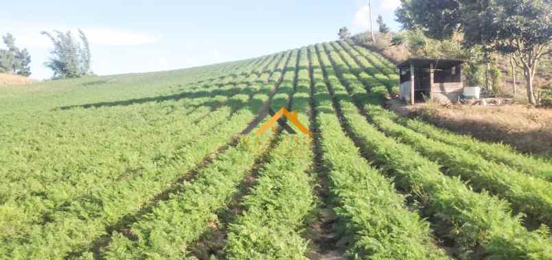 dijual tanah kosong daerah karo sukanalu barusjahe