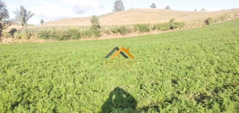 dijual tanah kosong daerah karo sukanalu barusjahe