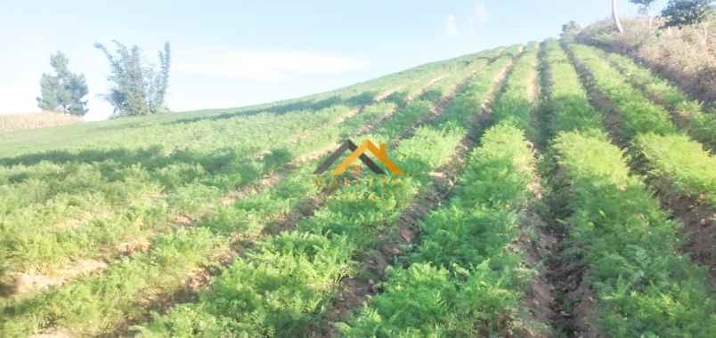 dijual tanah kosong daerah karo sukanalu barusjahe