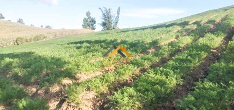 dijual tanah kosong daerah karo sukanalu barusjahe