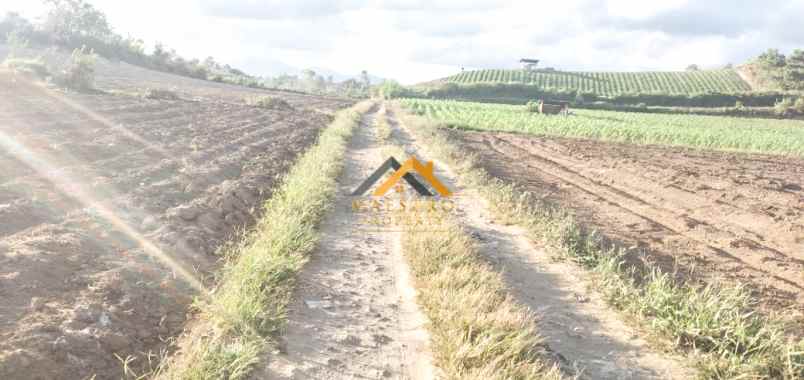 dijual tanah kosong daerah karo sukanalu barusjahe