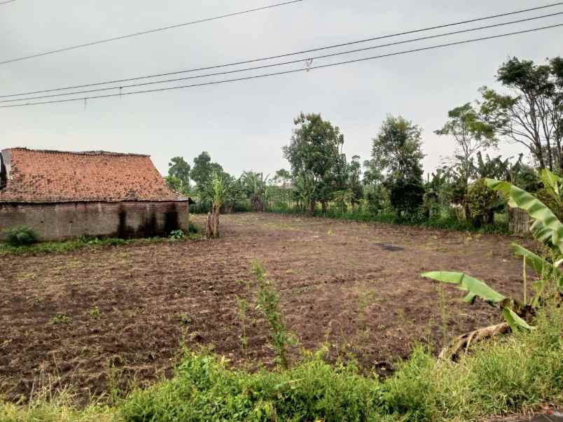 dijual tanah kp ngamplang desa kolot