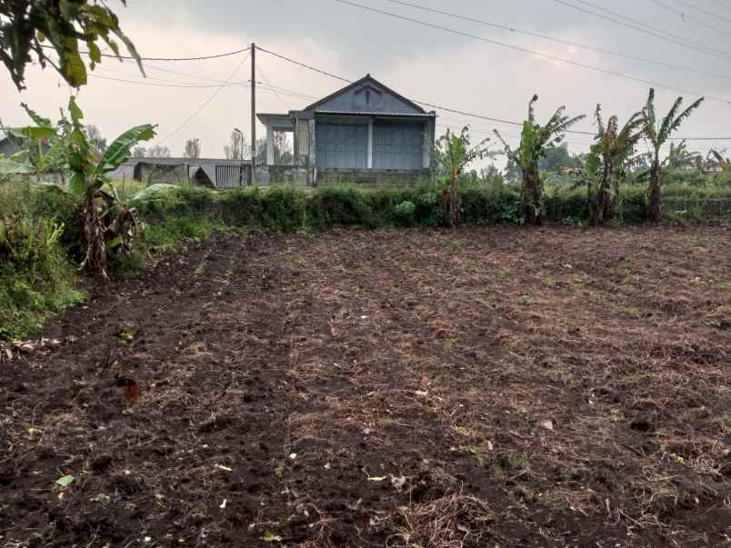 dijual tanah kp ngamplang desa kolot