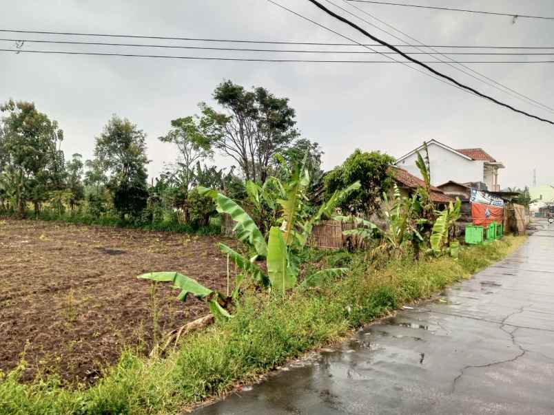 dijual tanah kp ngamplang desa kolot