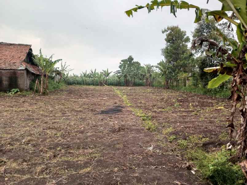 dijual tanah kp ngamplang desa kolot