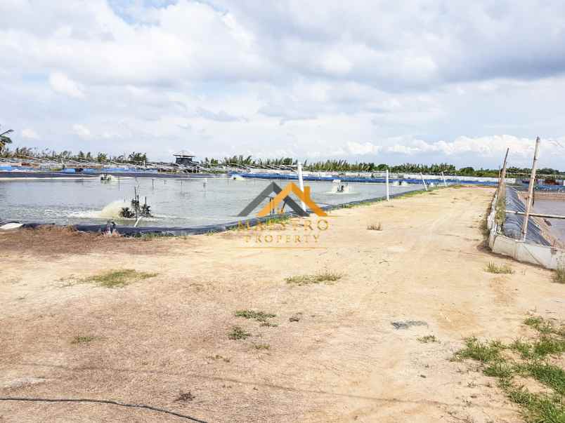 dijual tanah lokasi dusun suka mulia