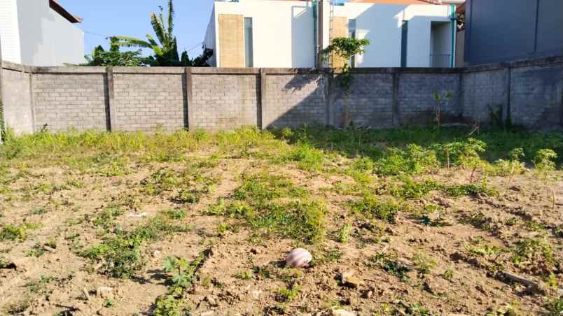 dijual tanah lokasi jalan badak agung renon