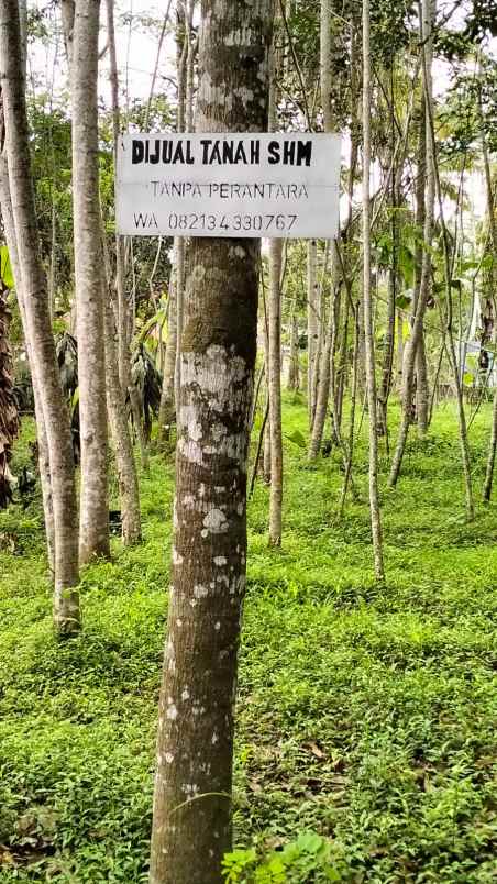 dijual tanah nuren purwosari jalan raya