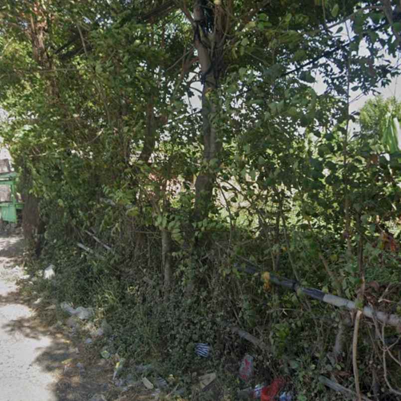 dijual tanah padang galak sanur