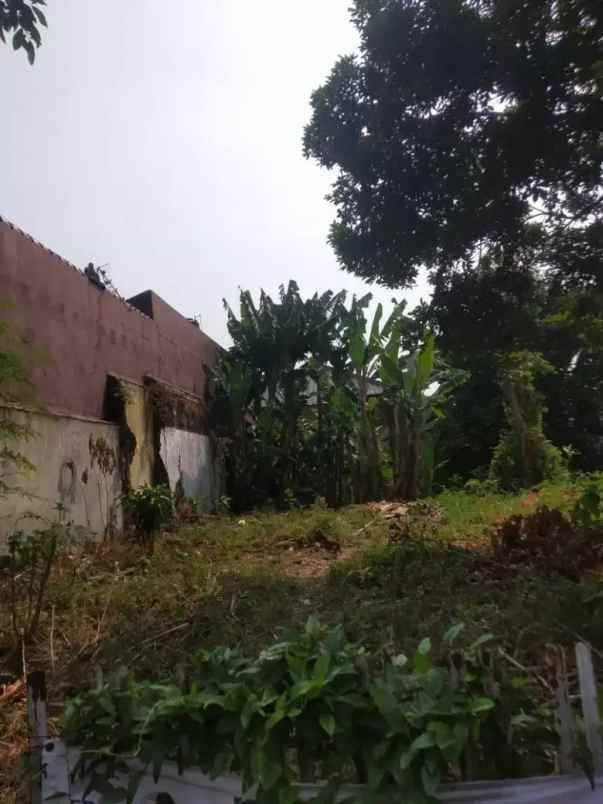dijual tanah pasar minggu