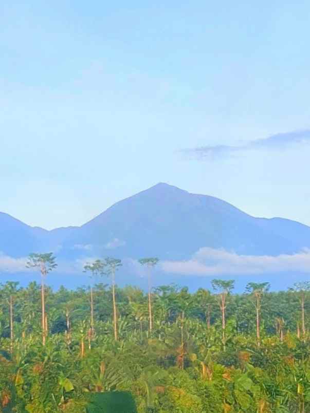dijual tanah payangan gianyar bali