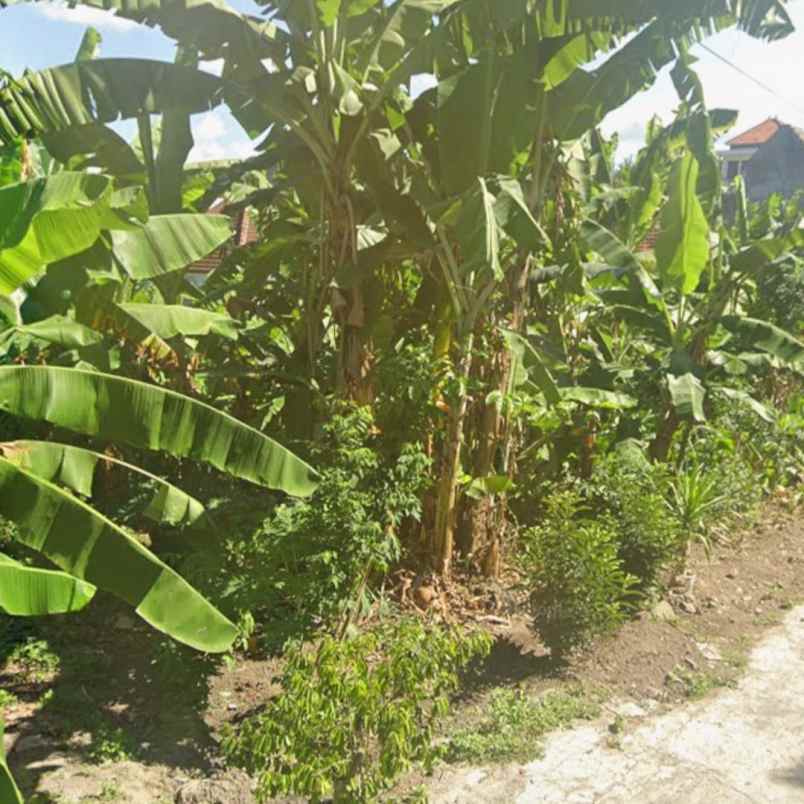 dijual tanah peguyangan kaja