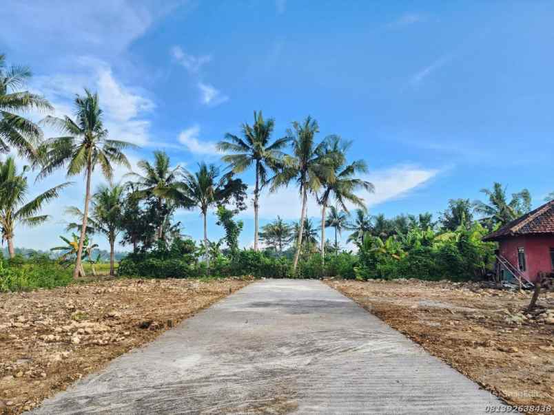 dijual tanah pengasih kulon progo