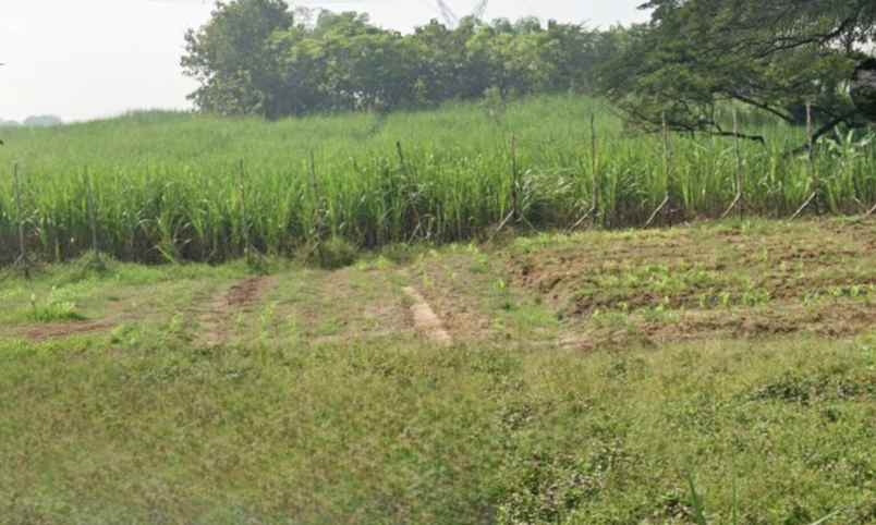 dijual tanah perkebunan karet di banyuwangi hgu