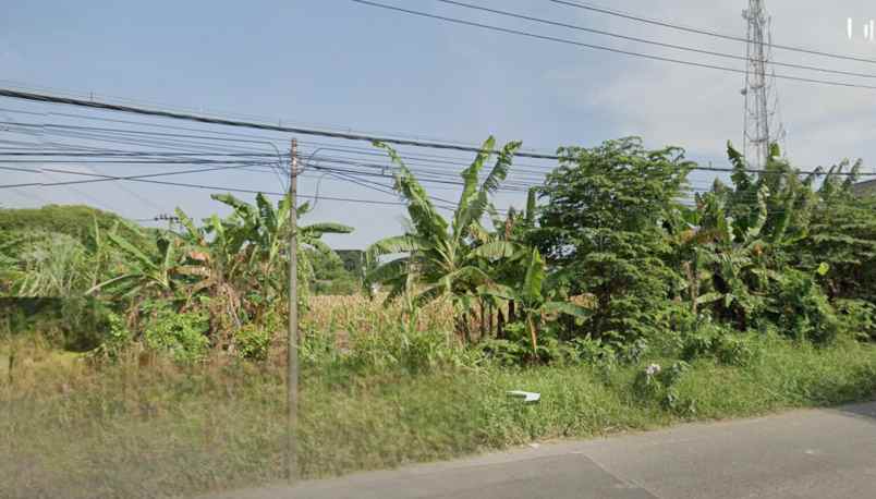dijual tanah perkebunan karet di banyuwangi hgu