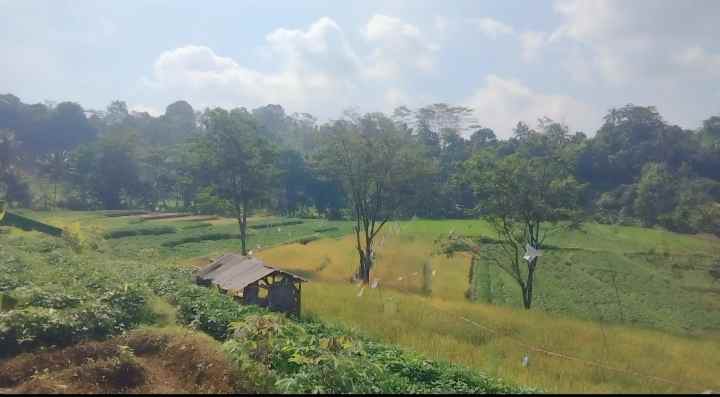 dijual tanah pinggir jalan desa view bagus