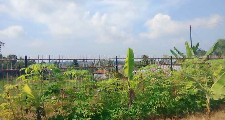 dijual tanah pinggir jalan desa view bagus