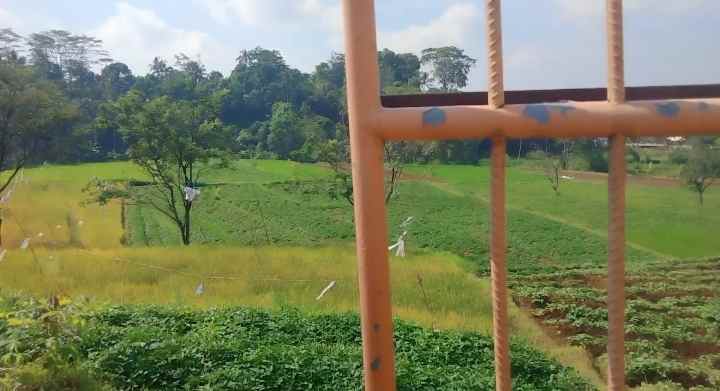 dijual tanah pinggir jalan desa view bagus