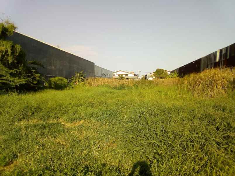 dijual tanah raya kedung cowek