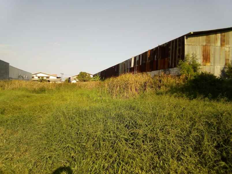 dijual tanah raya kedung cowek