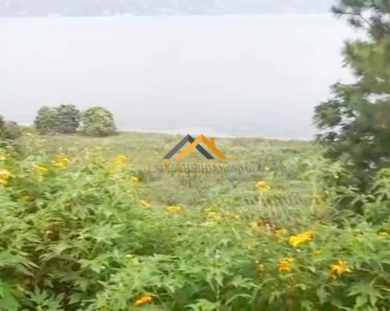 dijual tanah samosir desa martoba