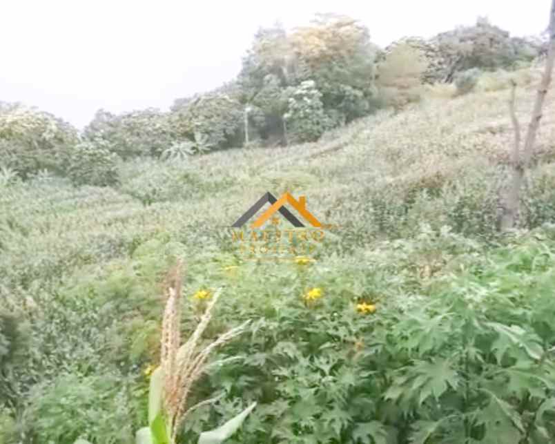 dijual tanah samosir desa martoba