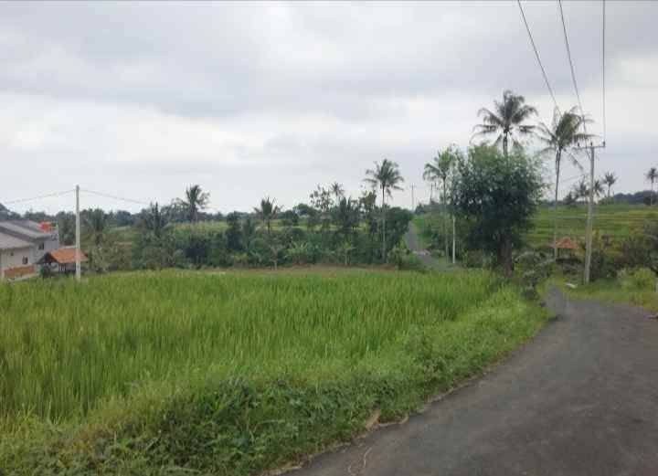 dijual tanah sawah pinggir jalan view gunung