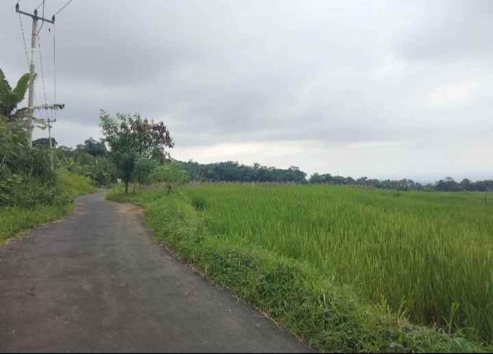 dijual tanah sawah pinggir jalan view gunung