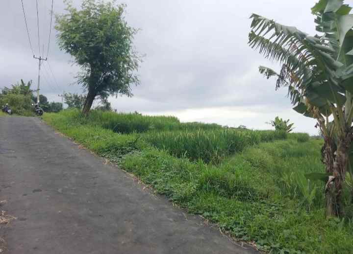 dijual tanah sawah pinggir jalan view gunung