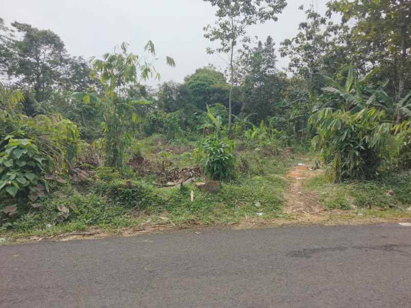 dijual tanah strategis pinggir jalan di matangaji
