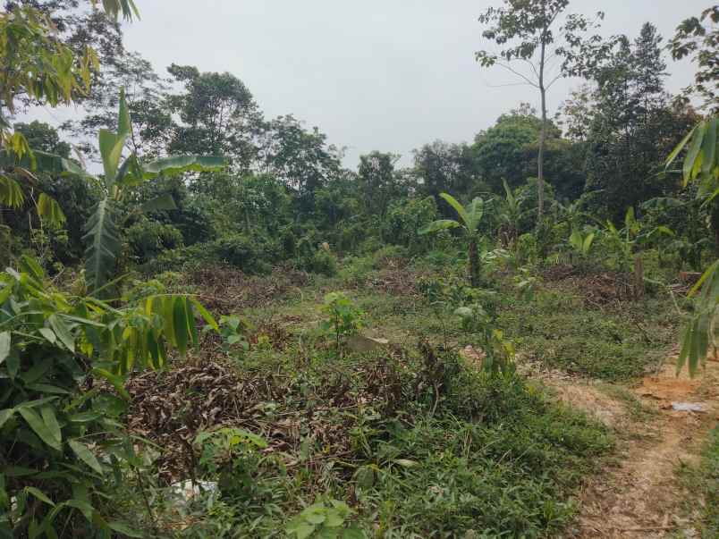 dijual tanah strategis pinggir jalan di matangaji