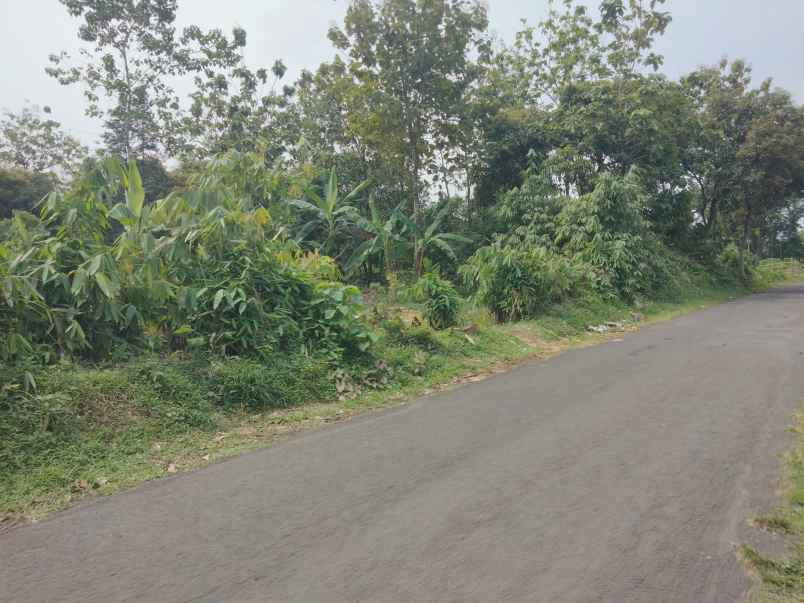 dijual tanah strategis pinggir jalan di matangaji