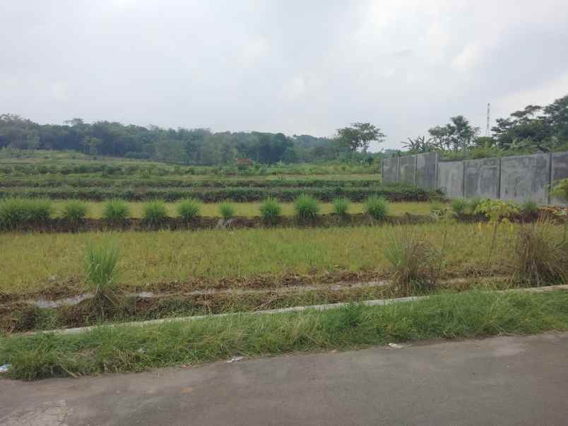 dijual tanah strategis pinggir jalan kabupaten