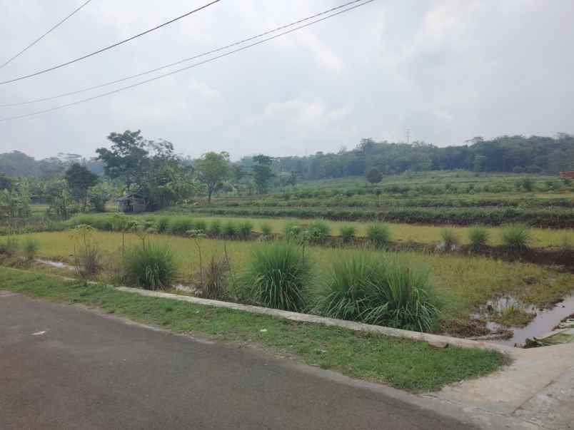 dijual tanah strategis pinggir jalan kabupaten