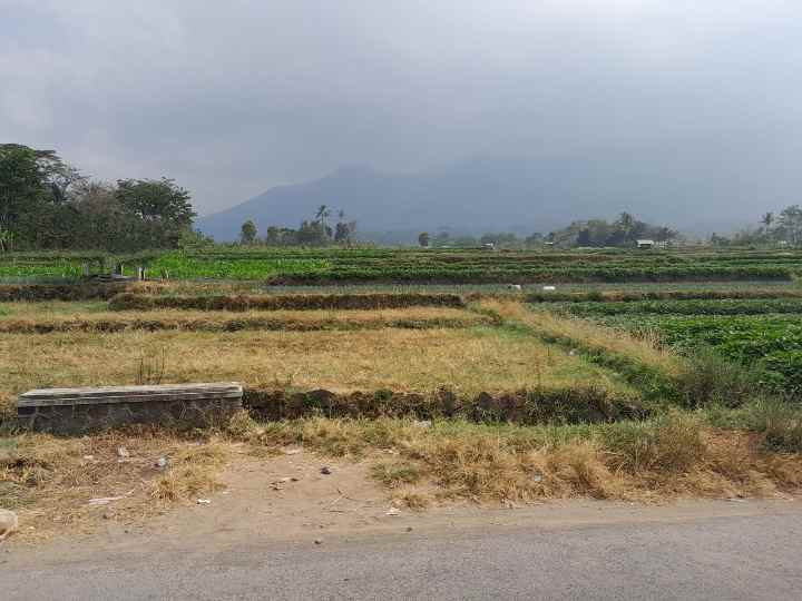 dijual tanah strategis pinggir jalan view gunung