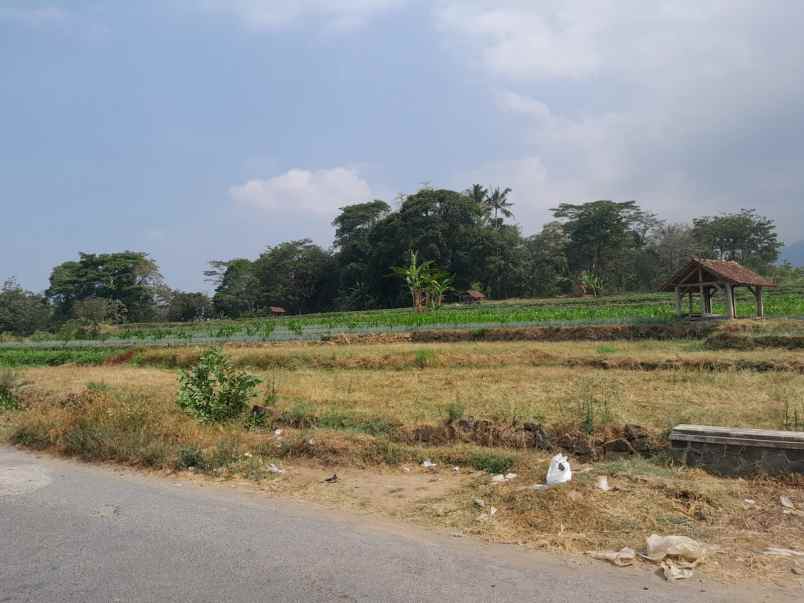 dijual tanah strategis pinggir jalan view gunung