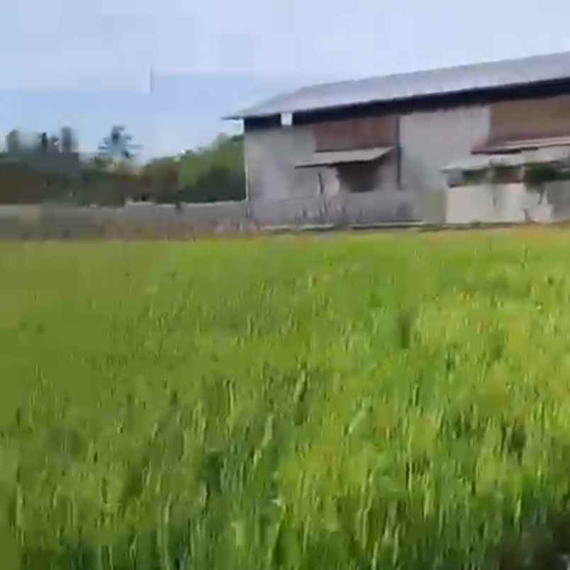 dijual tanah tibibiu pantai pasut