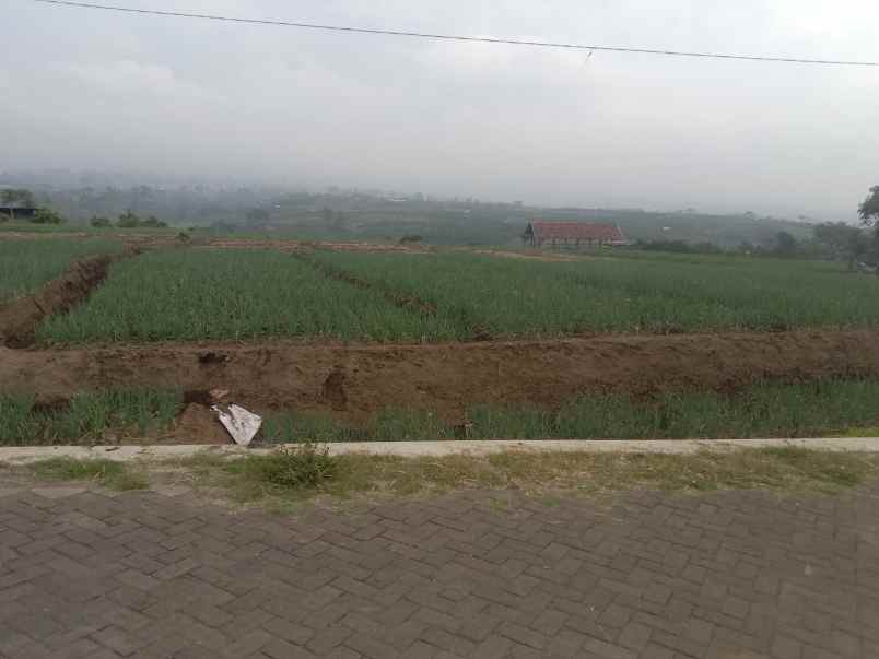 dijual tanah torongrejo