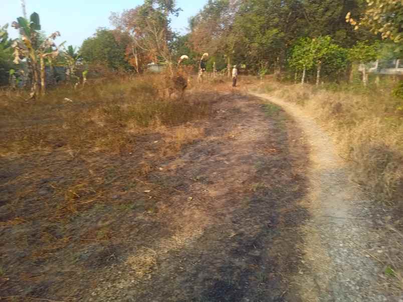 dijual tannah 9500 m2 setu kab bekasi