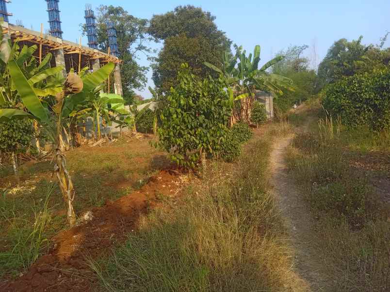 dijual tannah 9500 m2 setu kab bekasi