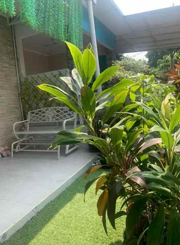 disewakan rumah cluster new anggrek 2