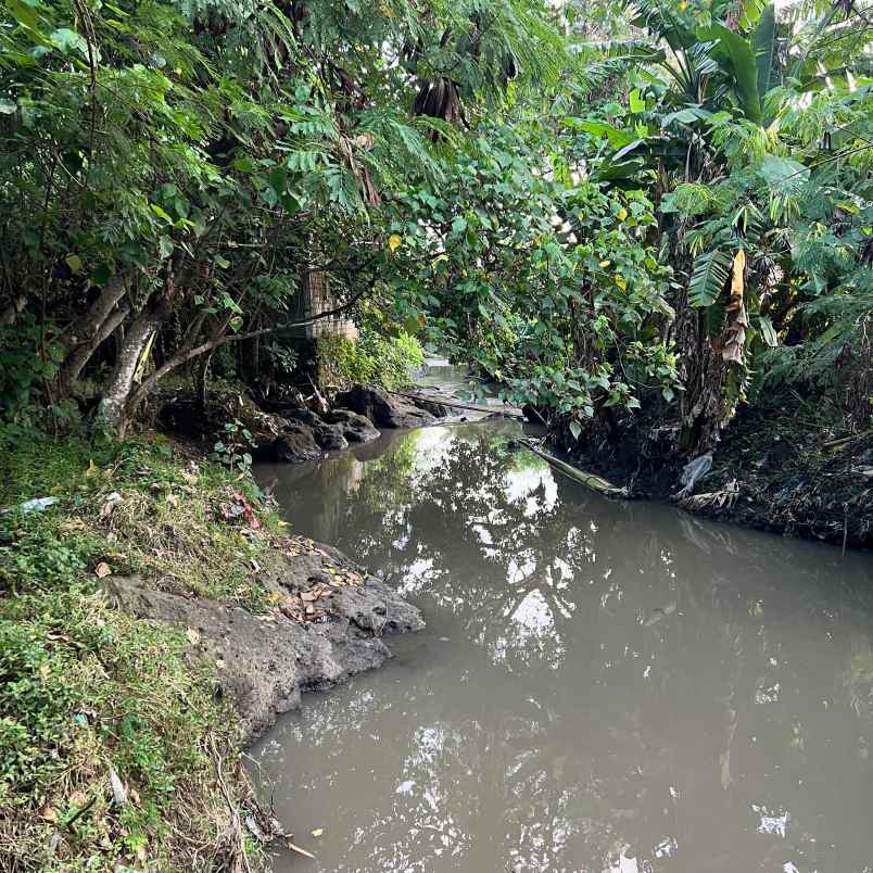 disewakan tanah canggu permai