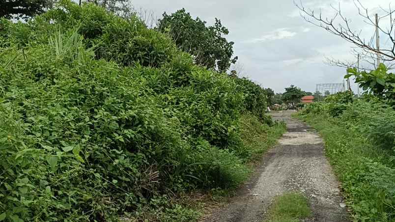 disewakan tanah padang galak sanur