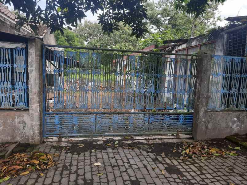 disewakan tanah strategis di candisari kalasan sleman