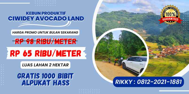 jual kebun alpukat hass ciwidey
