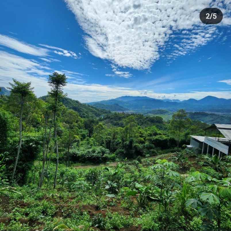 jual tanah ciwidey bandung