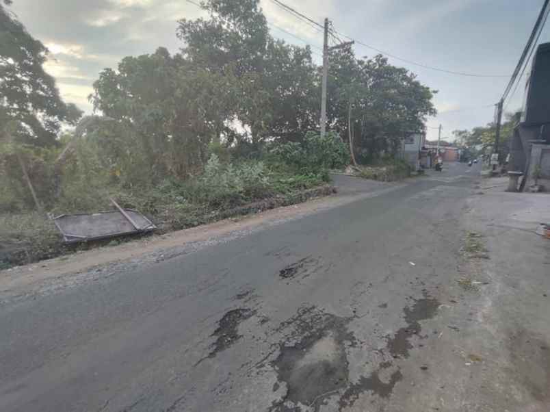 jual tanah kosong luas di banyuning buleleng strategis