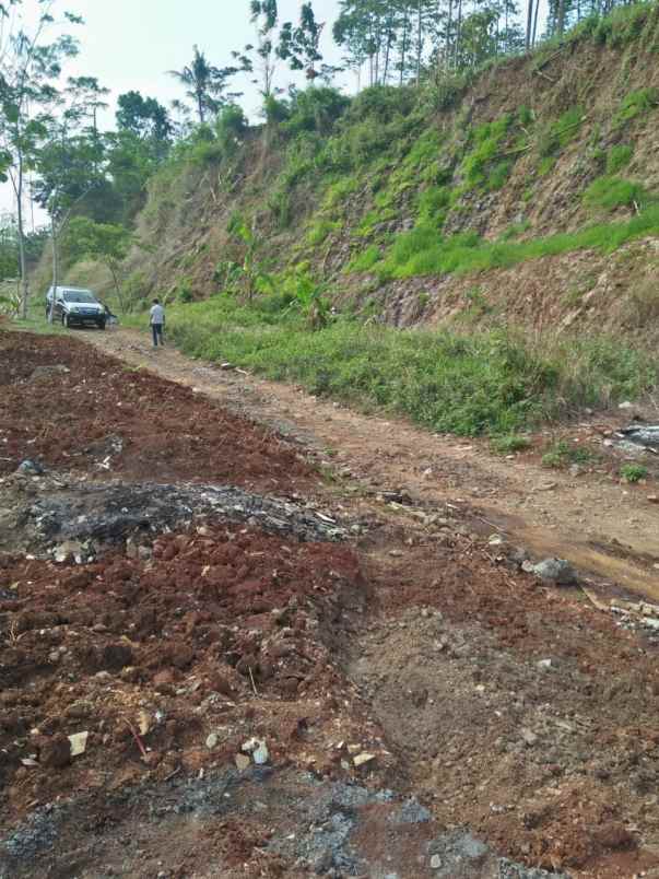 jual tanah murah tembalang akses jalan mulawarman
