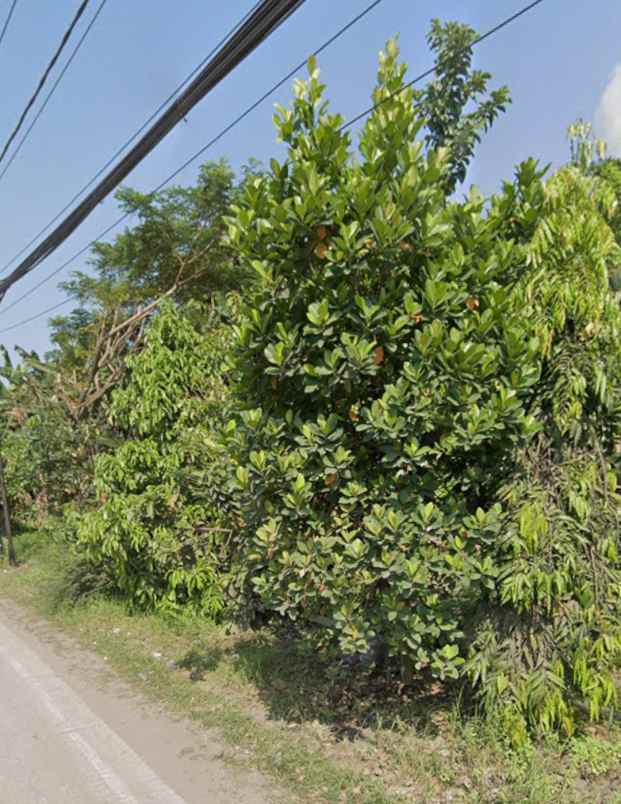jual tanah strategis di jl mayjend soetoyo