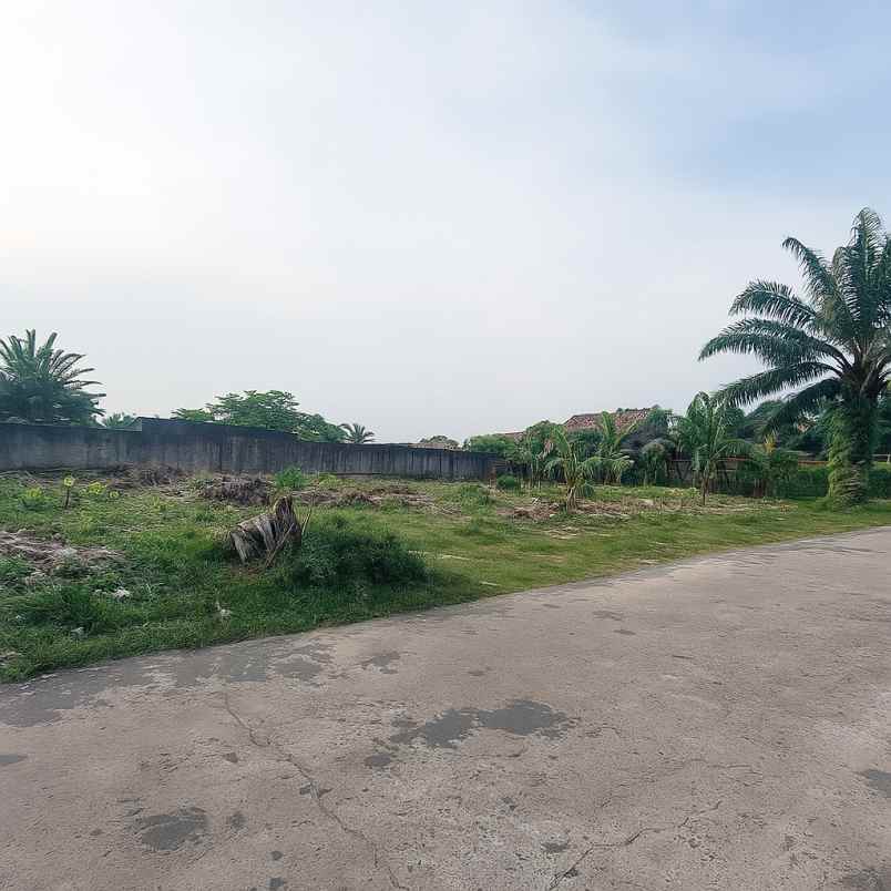 kavling shm km 9 dekat jalan raya kebun bunga